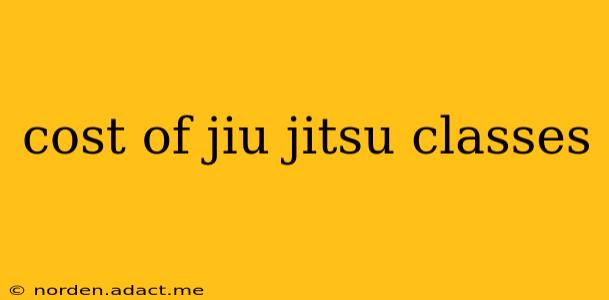 cost of jiu jitsu classes