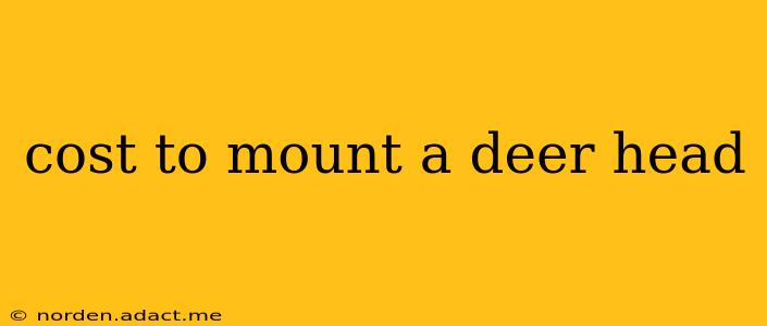 cost to mount a deer head