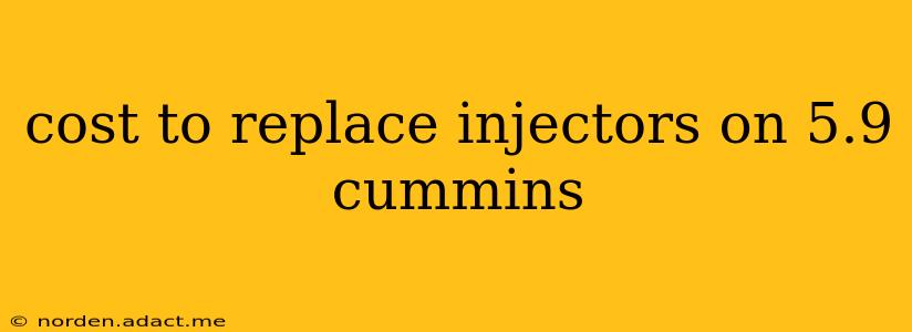 cost to replace injectors on 5.9 cummins