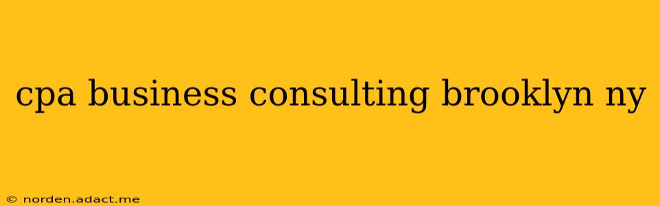 cpa business consulting brooklyn ny
