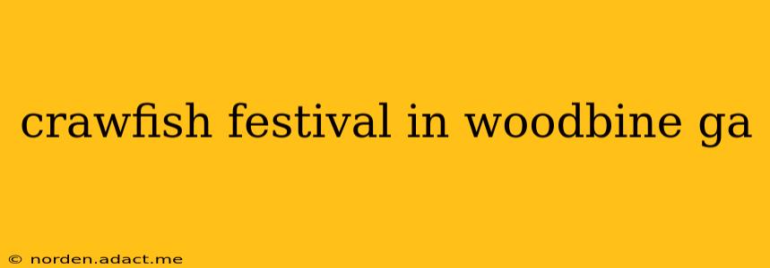 crawfish festival in woodbine ga