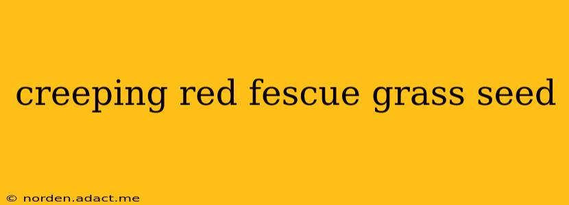 creeping red fescue grass seed