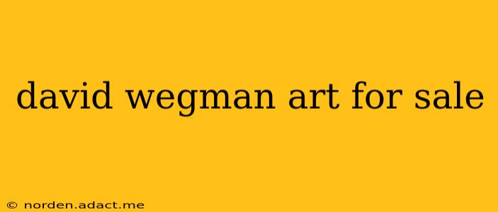 david wegman art for sale