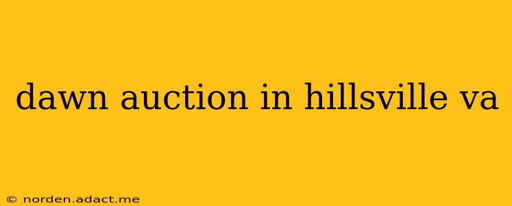 dawn auction in hillsville va