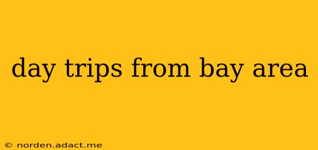 day trips from bay area