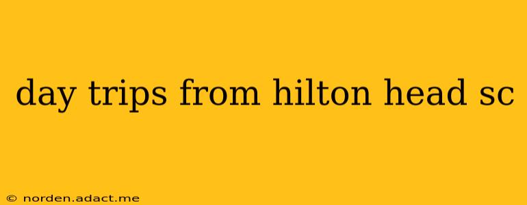 day trips from hilton head sc
