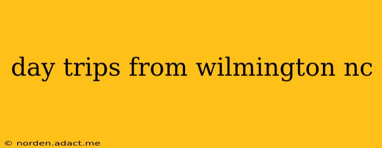 day trips from wilmington nc