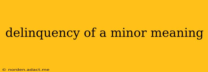 delinquency of a minor meaning