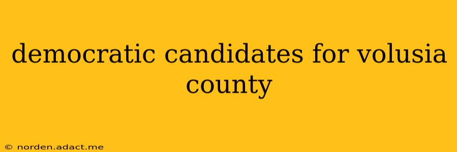 democratic candidates for volusia county