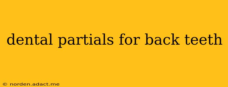 dental partials for back teeth