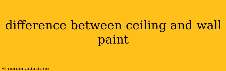 difference between ceiling and wall paint