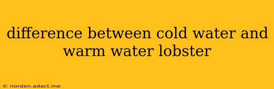 difference between cold water and warm water lobster