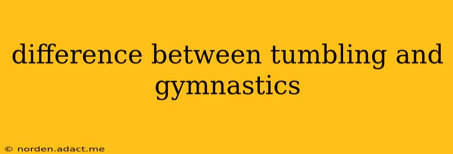 difference between tumbling and gymnastics
