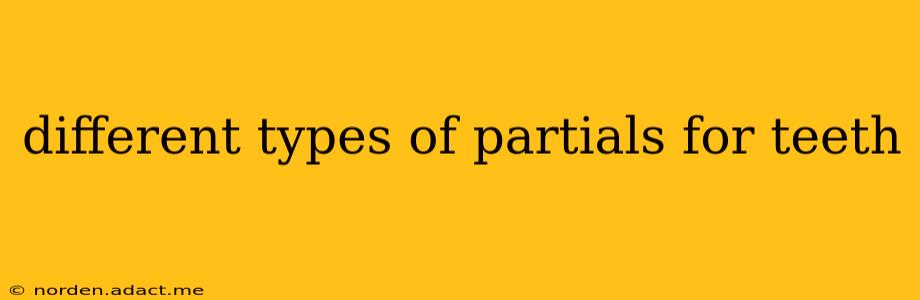 different types of partials for teeth