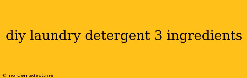 diy laundry detergent 3 ingredients