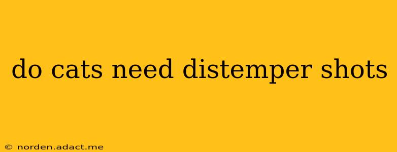 do cats need distemper shots