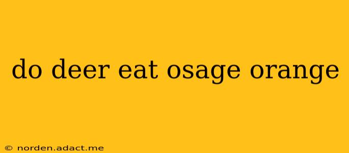 do deer eat osage orange