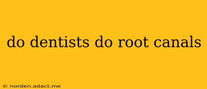 do dentists do root canals