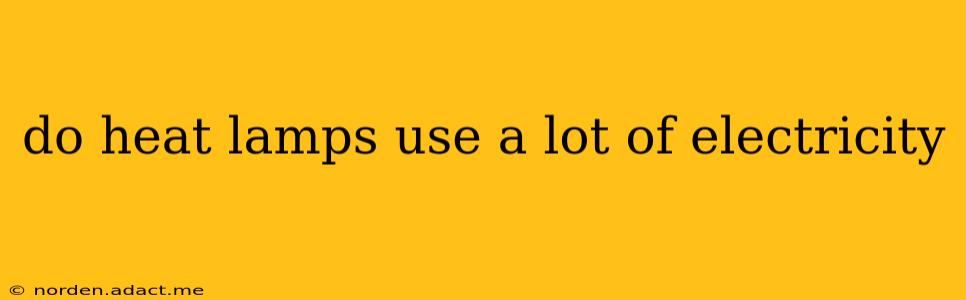 do heat lamps use a lot of electricity