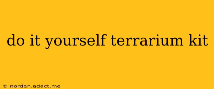 do it yourself terrarium kit