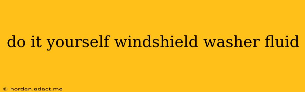 do it yourself windshield washer fluid