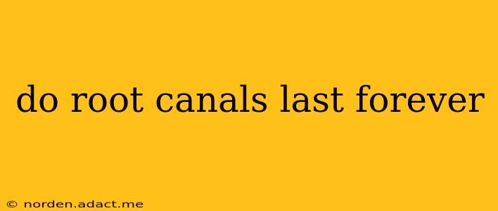 do root canals last forever