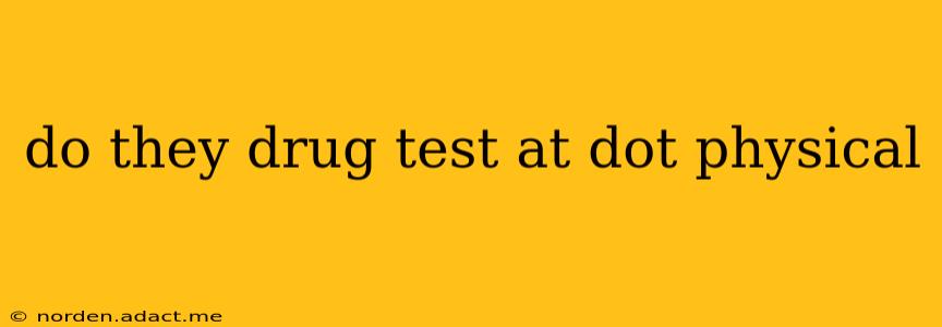 do they drug test at dot physical