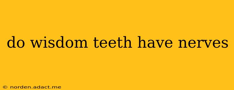 do wisdom teeth have nerves