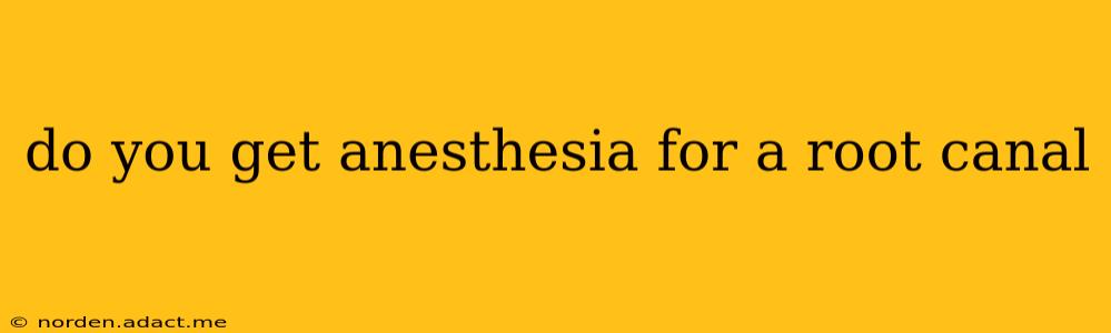 do you get anesthesia for a root canal