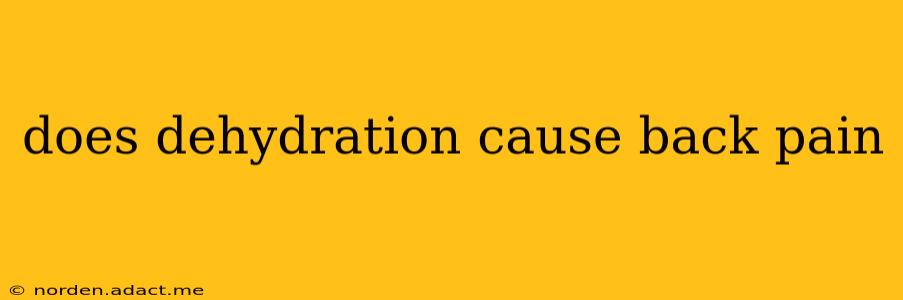 does dehydration cause back pain