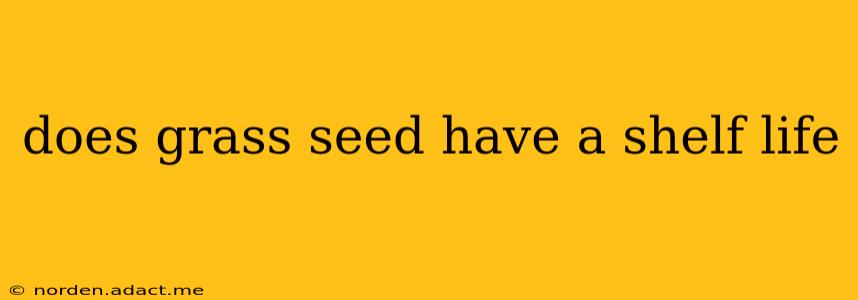 does grass seed have a shelf life