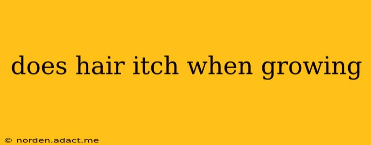 does hair itch when growing