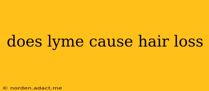 does lyme cause hair loss