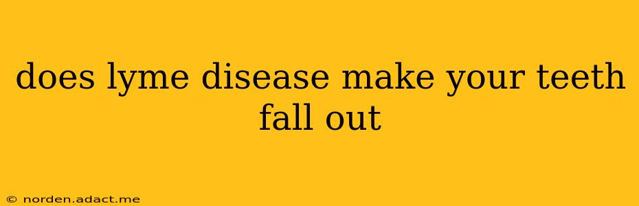 does lyme disease make your teeth fall out