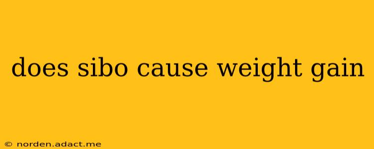 does sibo cause weight gain