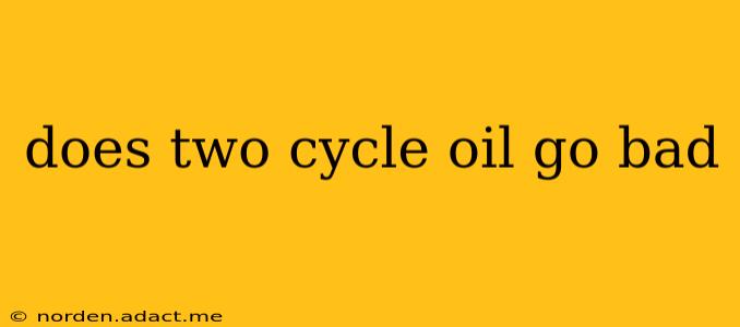 does two cycle oil go bad
