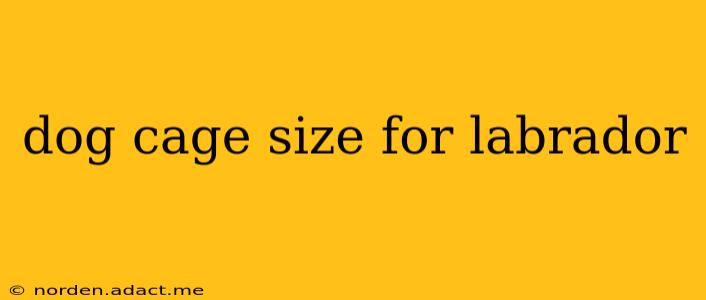 dog cage size for labrador