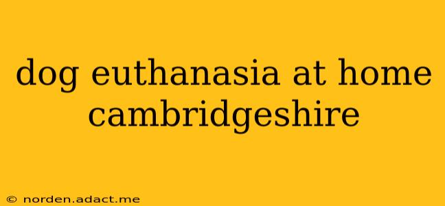 dog euthanasia at home cambridgeshire