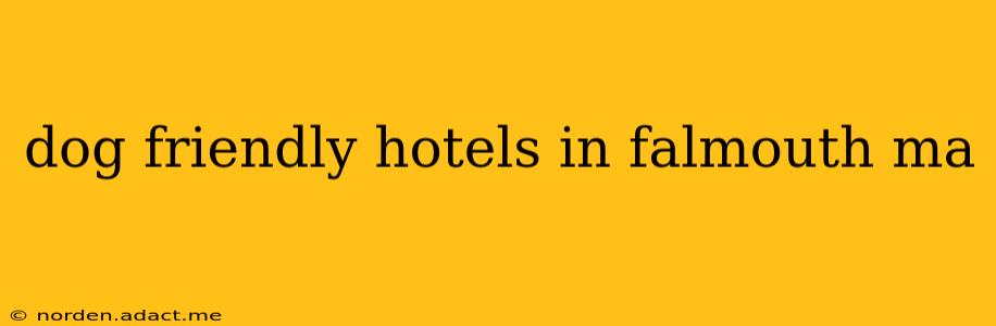 dog friendly hotels in falmouth ma