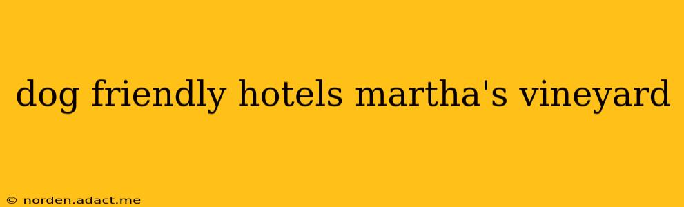 dog friendly hotels martha's vineyard