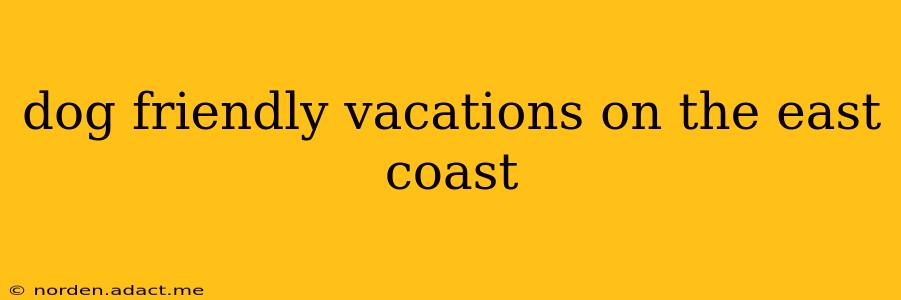 dog friendly vacations on the east coast