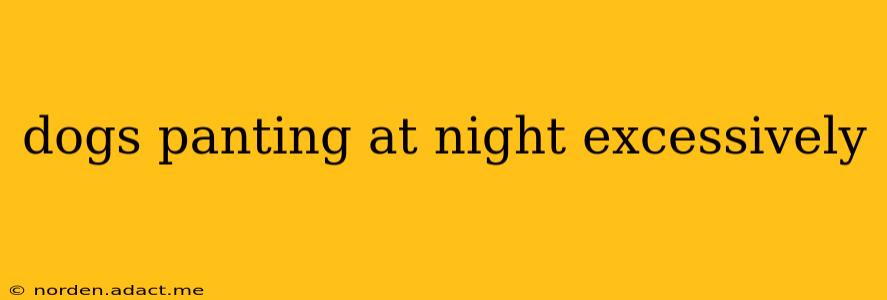 dogs panting at night excessively