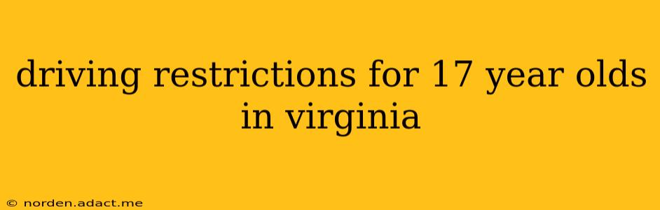 driving restrictions for 17 year olds in virginia
