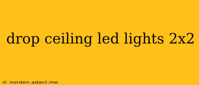 drop ceiling led lights 2x2