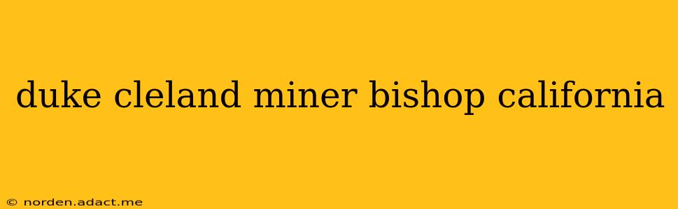 duke cleland miner bishop california