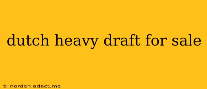 dutch heavy draft for sale