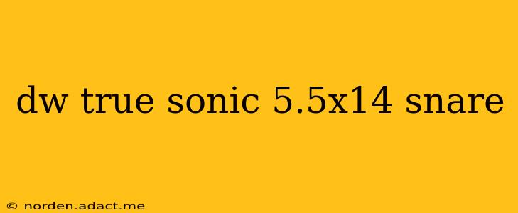 dw true sonic 5.5x14 snare
