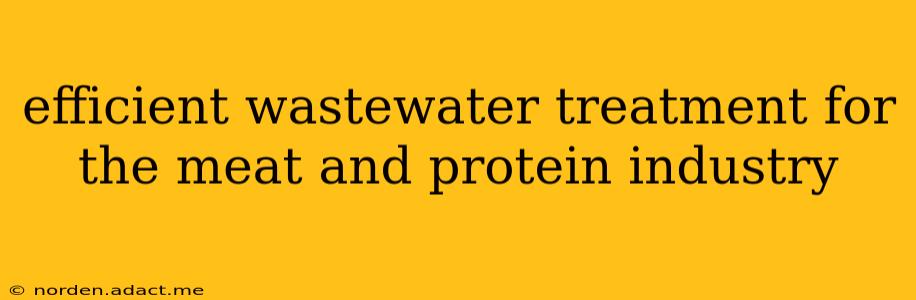 efficient wastewater treatment for the meat and protein industry