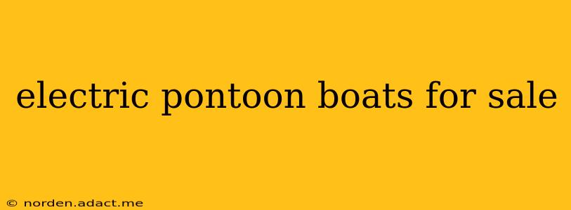electric pontoon boats for sale
