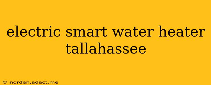 electric smart water heater tallahassee